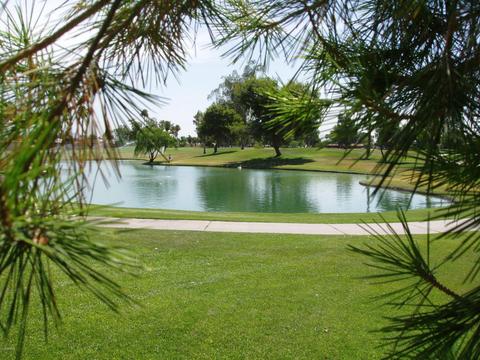 4701 E Dolphin Ave, Mesa, AZ 85206 photo 16