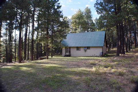 3102 Summer Loop, Forest Lakes, AZ 85931 photo 25