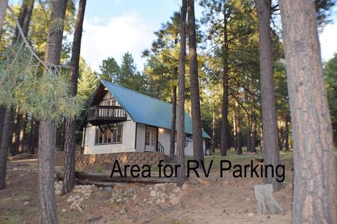 3102 Summer Loop, Forest Lakes, AZ 85931 photo 6