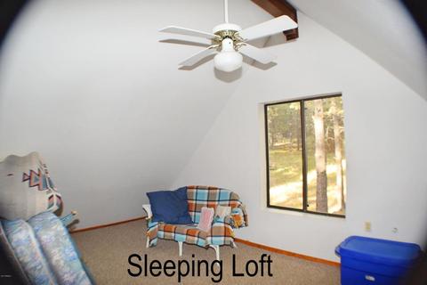 3102 Summer Loop, Forest Lakes, AZ 85931 photo 22