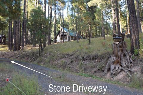 3102 Summer Loop, Forest Lakes, AZ 85931 photo 1