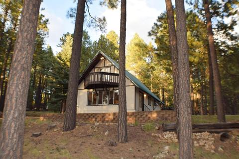 3102 Summer Loop, Forest Lakes, AZ 85931 photo 5