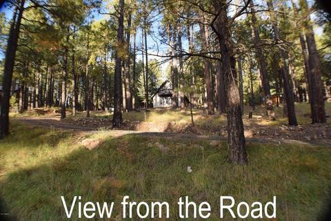 3102 Summer Loop, Forest Lakes, AZ 85931 photo 28