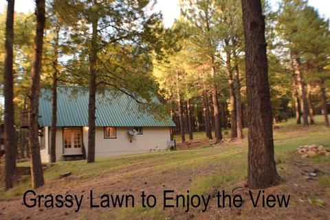 3102 Summer Loop, Forest Lakes, AZ 85931 photo 27