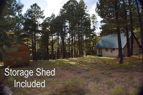 3102 Summer Loop, Forest Lakes, AZ 85931 photo 26