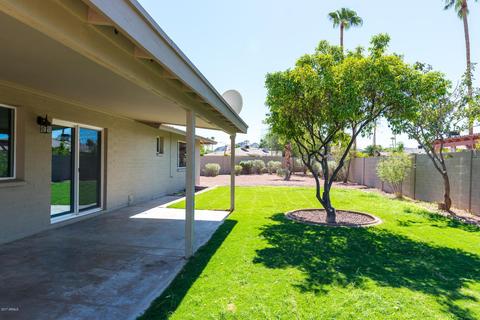 3520 E Sahuaro Dr, Phoenix, AZ 85028 photo 22