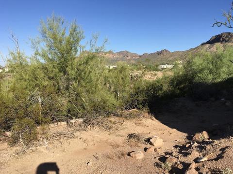 735 W Frontier --, Apache Junction, AZ 85120 photo 27