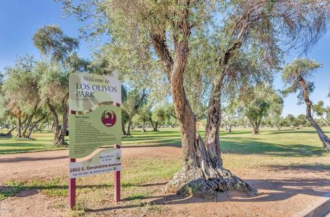 2836 E Avenida Olivos --, Phoenix, AZ 85016 photo 25