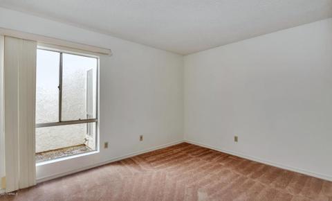 2836 E Avenida Olivos --, Phoenix, AZ 85016 photo 17