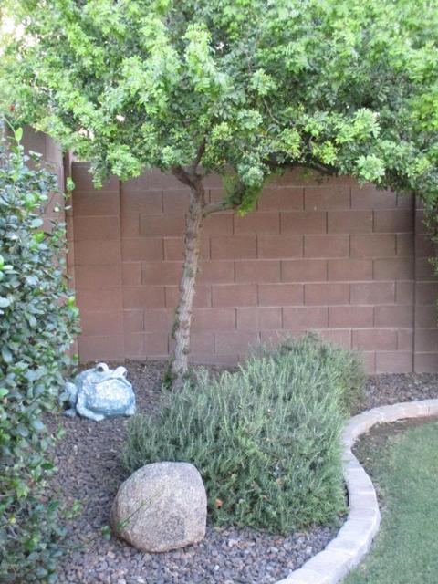 3843 E Comstock Dr, Gilbert, AZ 85296 photo 39