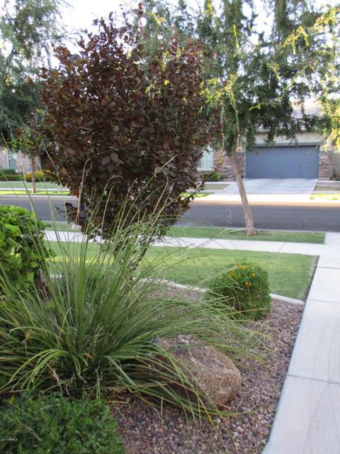 3843 E Comstock Dr, Gilbert, AZ 85296 photo 8