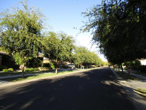 3843 E Comstock Dr, Gilbert, AZ 85296 photo 7