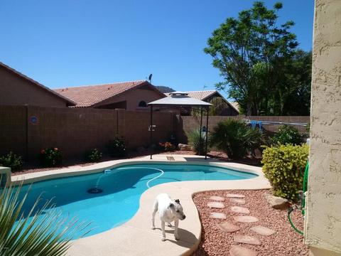 2231 E Robin Ln, Phoenix, AZ 85024 photo 2
