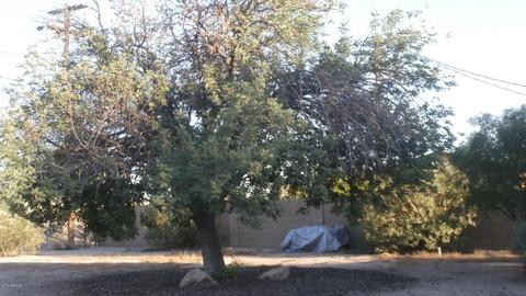 1833 S Cactus Rd, Apache Junction, AZ 85119 photo 4