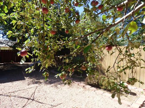 120 N Pinecrest Rd, Payson, AZ 85541 photo 45