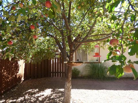 120 N Pinecrest Rd, Payson, AZ 85541 photo 47