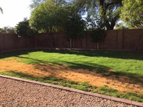 3917 E Renee Dr, Phoenix, AZ 85050 photo 4