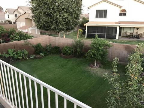8732 E Nido Cir, Mesa, AZ 85209 photo 30