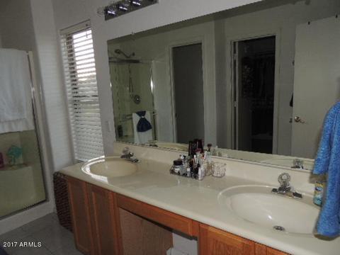 8732 E Nido Cir, Mesa, AZ 85209 photo 28