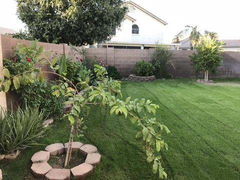 8732 E Nido Cir, Mesa, AZ 85209 photo 34