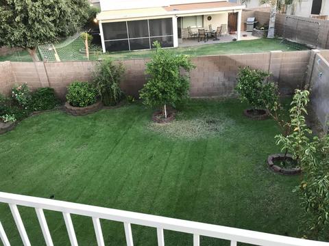 8732 E Nido Cir, Mesa, AZ 85209 photo 32