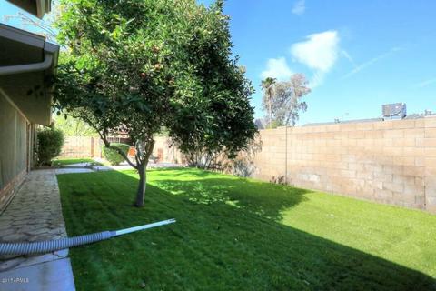 2916 E Willow Ave, Phoenix, AZ 85032 photo 24