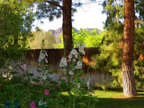 5350 N 33rd St, Phoenix, AZ 85018 photo 44