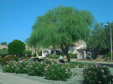 418 E Silverwood Dr, Phoenix, AZ 85048 photo 3