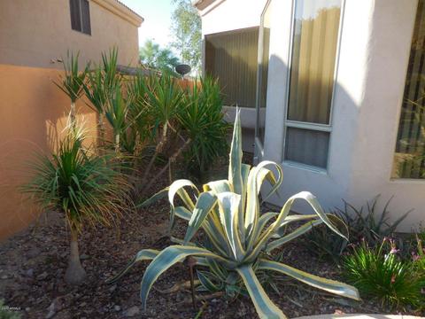 418 E Silverwood Dr, Phoenix, AZ 85048 photo 36