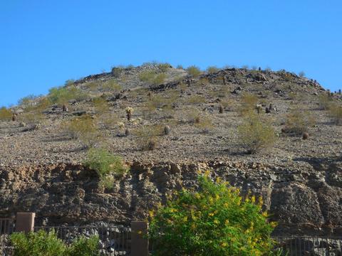 418 E Silverwood Dr, Phoenix, AZ 85048 photo 40