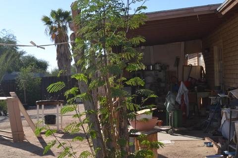 1431 E Winston Dr, Phoenix, AZ 85042 photo 9