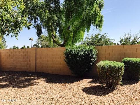 333 E Page Ave, Gilbert, AZ 85234 photo 8