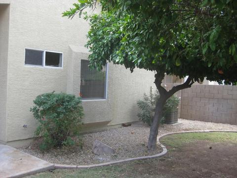 1462 E Silver Creek Rd, Gilbert, AZ 85296 photo 25