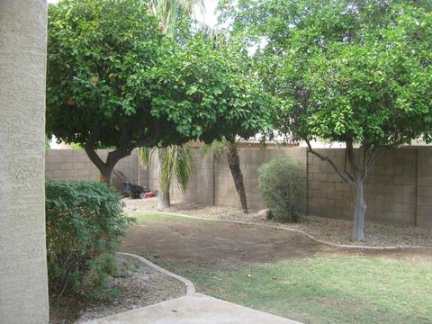 1462 E Silver Creek Rd, Gilbert, AZ 85296 photo 10