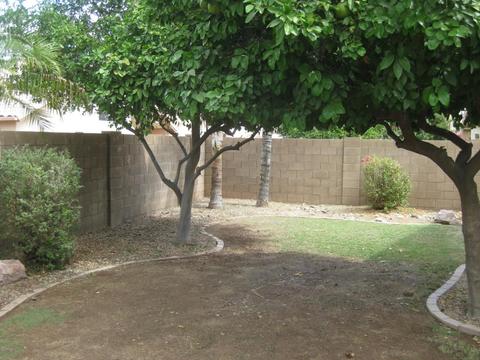 1462 E Silver Creek Rd, Gilbert, AZ 85296 photo 6