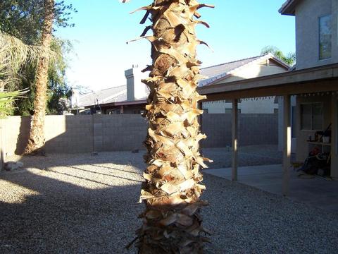 1420 E Stanford Ave, Gilbert, AZ 85234 photo 44