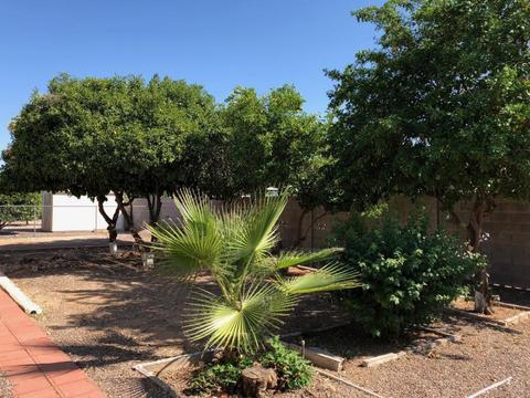 6425 E Dodge St, Mesa, AZ 85205 photo 5