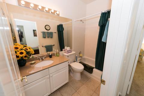 3301 E Rosemonte Dr, Phoenix, AZ 85050 photo 18