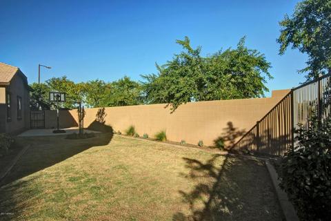 3153 E Half Hitch Pl, Phoenix, AZ 85050 photo 49