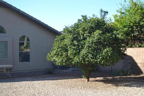 8240 E Obispo Ave, Mesa, AZ 85212 photo 17