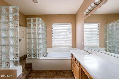 1565 E Stirrup Ct, Gilbert, AZ 85296 photo 15