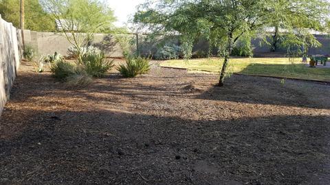 930 E Denton Ln, Phoenix, AZ 85014 photo 25