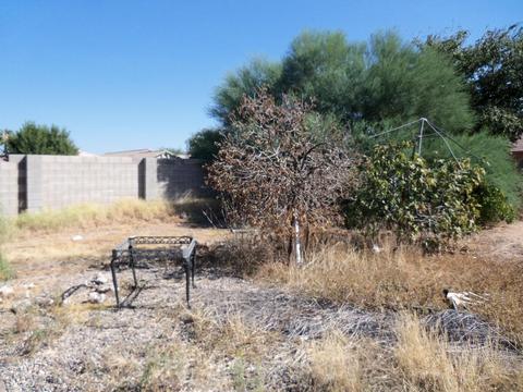 6546 E Avalon St, Mesa, AZ 85205 photo 6