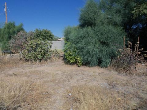 6546 E Avalon St, Mesa, AZ 85205 photo 3