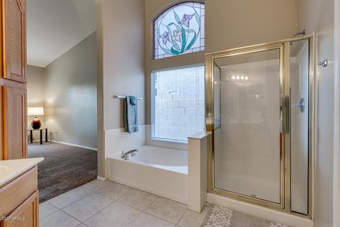 361 E Palomino Ct, Gilbert, AZ 85296 photo 32