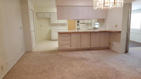 4236 E Dolphin Ave, Mesa, AZ 85206 photo 9