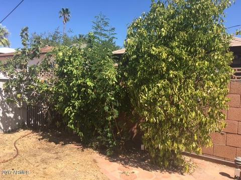 1509 E Palm Ln, Phoenix, AZ 85006 photo 40