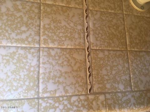 1509 E Palm Ln, Phoenix, AZ 85006 photo 17