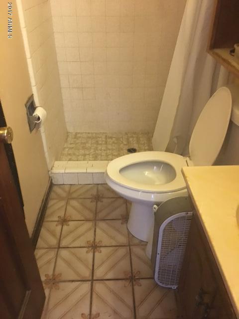 1509 E Palm Ln, Phoenix, AZ 85006 photo 48