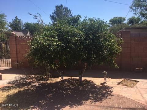 1509 E Palm Ln, Phoenix, AZ 85006 photo 39